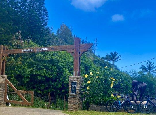 Stop along the West Maui Loop