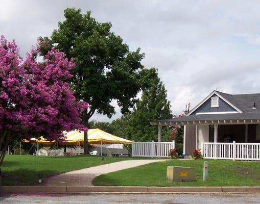 Picnic Area and Pet Walk Area