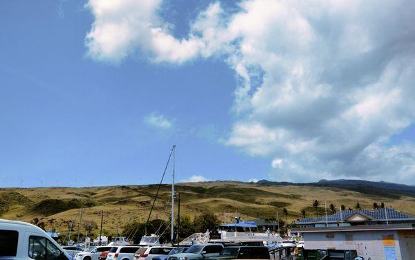 Maalaea Harbor