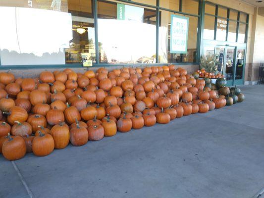 Delivering WAGNER FARM pumpkins to Albertsons