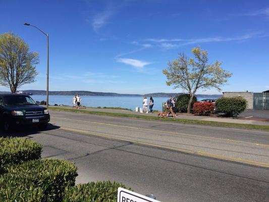 Beautiful waterfront view at the Salon!  I witnessed Seals swimming by.