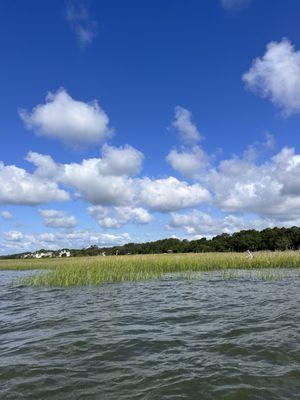 Saltmarsh Paddle Tours