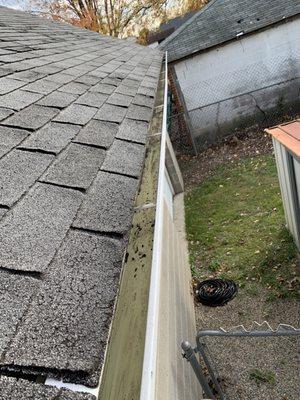 Cleaned gutters