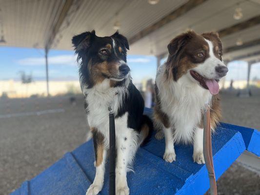 Stella and Junie stopping to pose at group