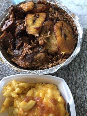 Medium oxtail over rice with plantains and small side of Mac and Cheese