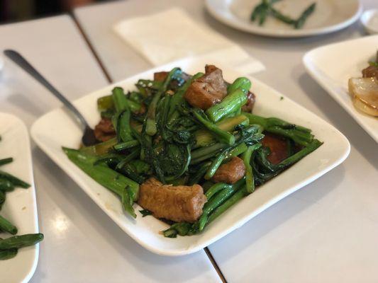 Tofu w/ Choy Sum