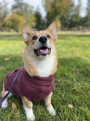 Valley Animal Hospital of Merced