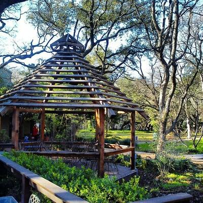 Gazebo area. Lots of shade and pet friendly