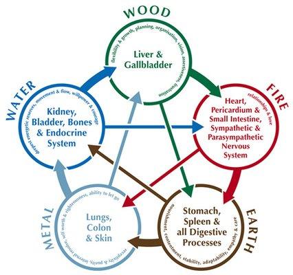 Five Element theory