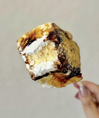 Signature Toasted Marshmallow Ice Cream