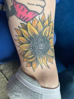 Sunflower coverup