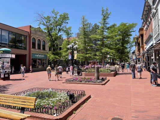 Downtown Boulder Bid