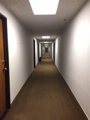 The a long hallway (no your voice wont echo) but Henry Radio is 3/4 down on the left.