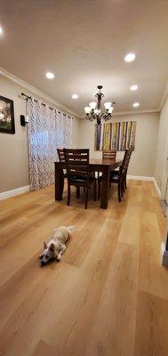 Puppies love the (waterproof) floors too!!