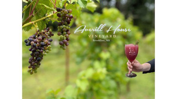 Wine slushy at the vineyard is a refreshing and delicious way to treat yourself and your friends.