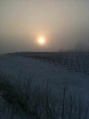 Three Trails in winter