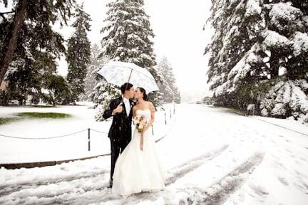 Brooklyn Botanical Gardens Winter Wedding