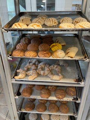 Que rico pan dulce