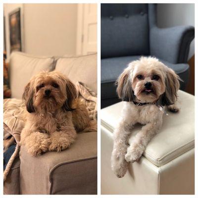 Myron's before and after ‍