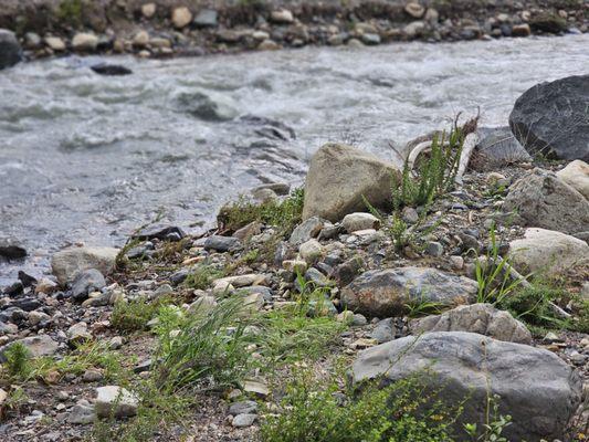 Water crossing river not a creek right now.