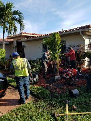 Landscaping steve house in north miami beach