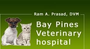 Bay Pines Veterinary Hospital