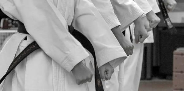 The Karate & Fitness Place USA