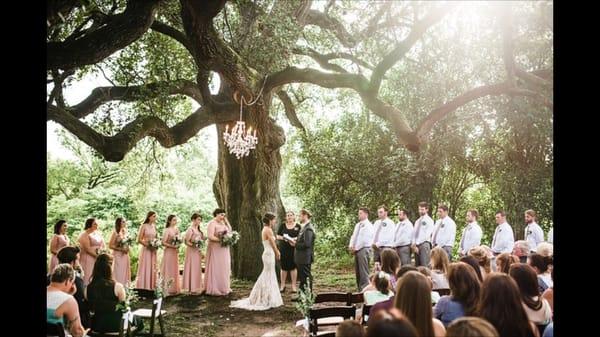 Officiated by: Nicole Kanani Hutchinson with short and sweet weddings Venue: Charles Johnson House  Photos by: Laura Morsman Photography