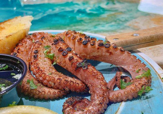 grilled octopus