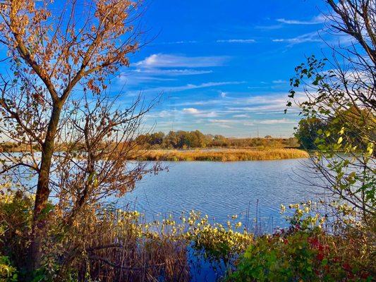 Heinz Wildlife Refuge -- Nov 2023 (eagle family's nesting island)