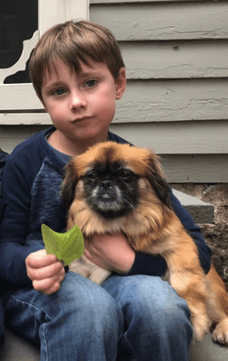 After a home visit, The Mutt Scouts determined our family was a good fit for this little dog who had been rescued from an abandoned building