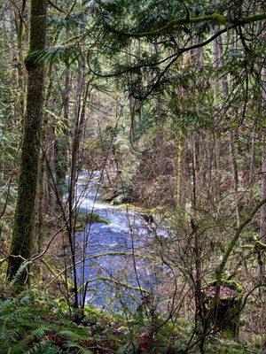 Whatcom Falls Park