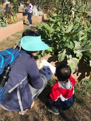 Parents and preschoolers can go on a garden scavenger hunt together during our preschool tours.