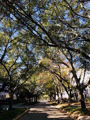 Located on a quiet, tree-lined street near Rice University