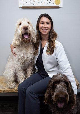 Dr. Heather Brookshire with her Italian Spinones, Fergus and Bodhi.