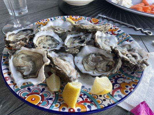 Delicious oysters! Can't be beat