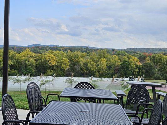 View from outdoor seating.