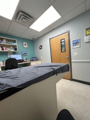 One of the exam rooms- very clean (wrinkles from my cat)