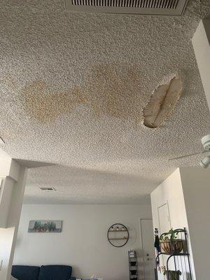 Ceiling in kitchen area, in front of bedroom door