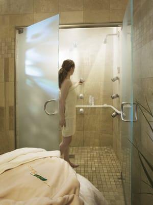 Spa Botanica Swiss Steam Shower