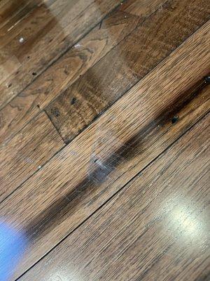 Picture of scratched hard floor and there are several more scratches