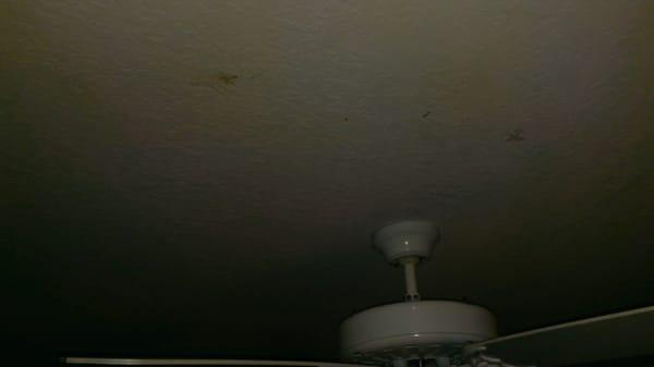 Not sure how you stain the ceiling