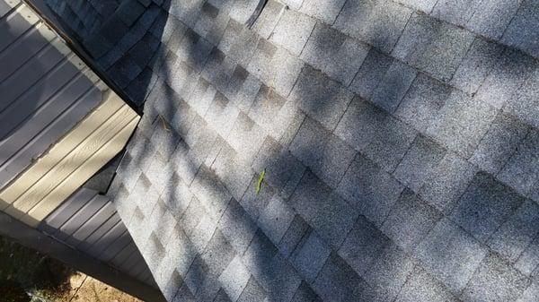 Repaired roof.