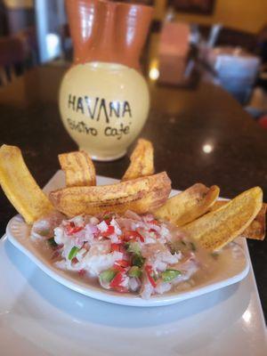 Ceviche