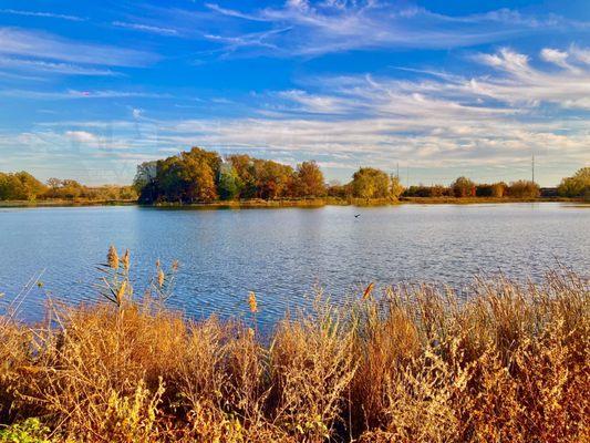 Heinz Wildlife Refuge -- Nov 2023 (eagle family's nesting island)