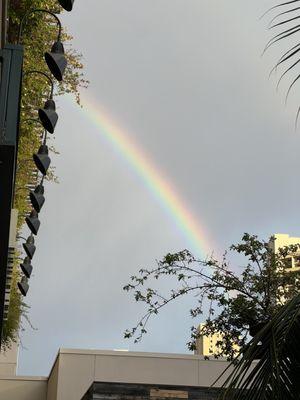 Rainbow