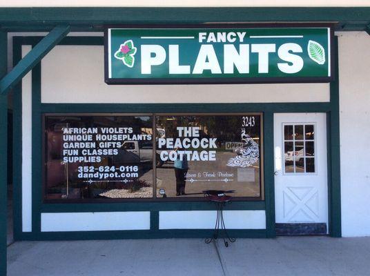 We have lots of "Fancy Plants"