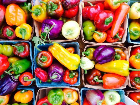 Gorgeous heirloom peppers from Covered Bridge Farm