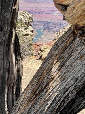 Our first peek at the Colorado River