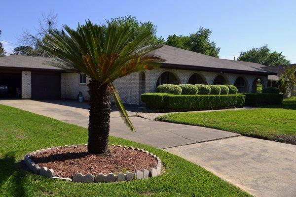 Shingle Roof